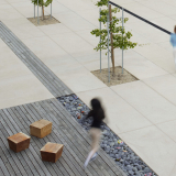 The Nueva School | Andrea Cochran