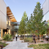 The Daivd and Lucile Packard Foundation | EHDD