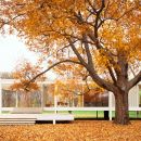 [Classic] Farnsworth House | Mies van der Rohe