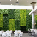 Green Wall | GSKY Plant System