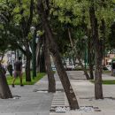 Hidalgo Park Rehabilitation | Taller5 Arquitectos