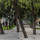 Hidalgo Park Rehabilitation | Taller5 Arquitectos