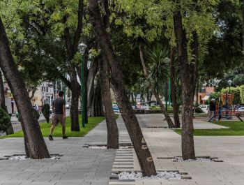 Hidalgo Park Rehabilitation | Taller5 Arquitectos