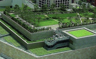 green roof