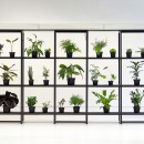 pikaplant-cabinet-automatic-water-plants-designboom-07