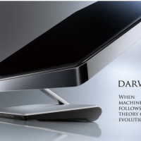 13 Darwin | Sung Chi Chen