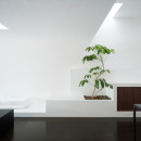 dzn_Gable-House-by-FORM-Kouichi-Kimura-Architects-10