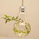 Unique-Home-Decor-Creative-Clear-Glass-Bulb-Vase-Water-Planting-Glass-Vessel-Hanging-Flower-Pots-Water