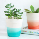 Cute-Plants-and-Neutral-Planters