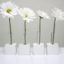 Gerbera-daisies-feel-appropriately-playful-mod-stem-supporting