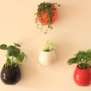 Mini-Wall-Hanging-Ceramic-Vase-Planting-Pots-Set-Indoor-Outdoor-Flower-Pot-Home-Decor