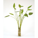 Silk+Tropical+Leaf+Floor+Plant+in+Decorative+Vase