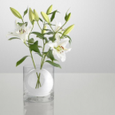 Vase-with-flowers