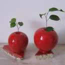 apple-flower-vases-interflora