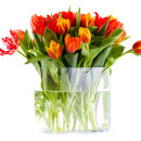 how-to-care-in-flowers-in-vase-glass