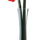 lsa_flower_tall_single_stem_vase_50cm_2
