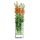philippi-vase orange flowers
