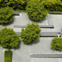 Gap Headquarters | Olin