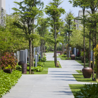 Naman Retreat | Vo Trong Nghia