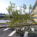 The_Campus_Park_at_Umea_University-by-Thorbjorn_Andersson-with-Sweco_architects-08
