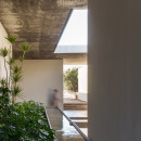 next-hydroponic-plant-cc-arquitectos-offices_dezeen_1568_7
