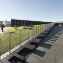 Giants Causeway Visitor Centre  Heneghan & Peng Architects311