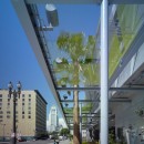 sidewalk-view-of-canopy