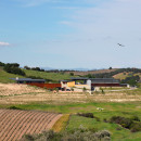 b-Law-Winery-near-Paso-Robles-by-BAR-Architects_dezeen_784_14