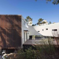 Rock & Branch | Hyunjoon Yoo