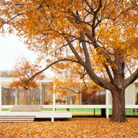 [Classic] Farnsworth House | Mies van der Rohe