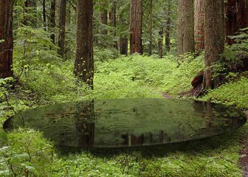 Garden Festival in Quebec | CityLaboratory