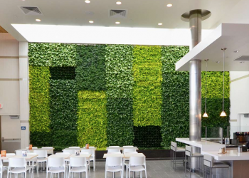 Green Wall | GSKY Plant System