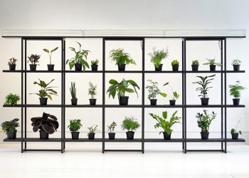 Pikaplant One – Vertical Garden
